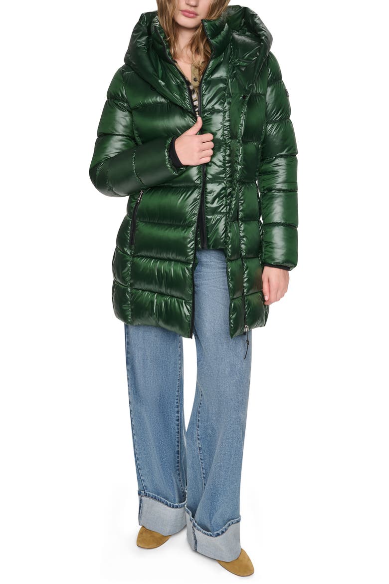 Water Resistant Hooded Puffer Coat with Bib, Alternate, color, HUNTER