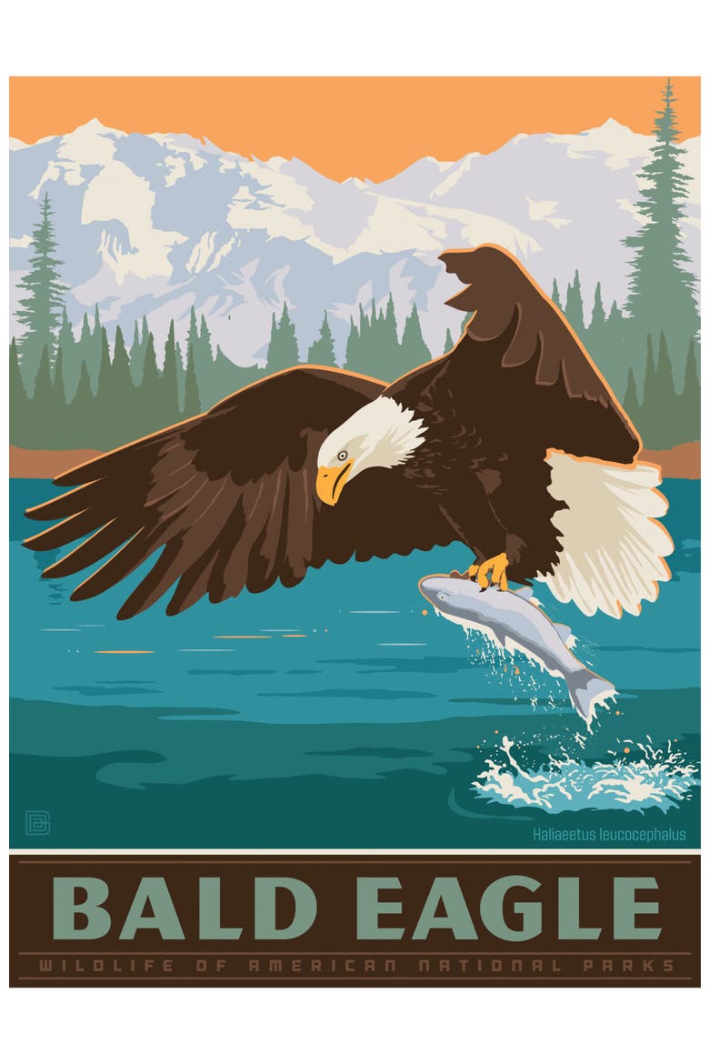 Bald Eagle 300 Piece Jigsaw Puzzle, Alternate, color, Multicolor