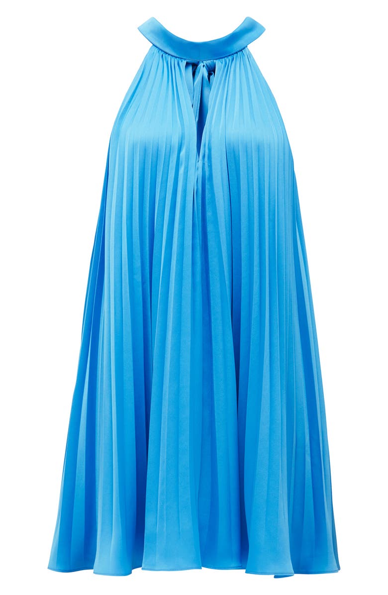 Ever New Sammy Pleated Trapeze Minidress, Alternate, color, 