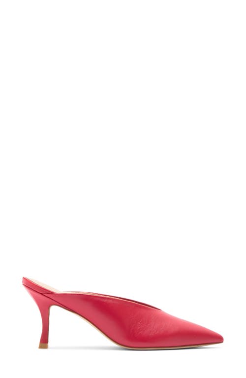 STUART WEITZMAN STUART WEITZMAN LULA POINTED TOE PUMP