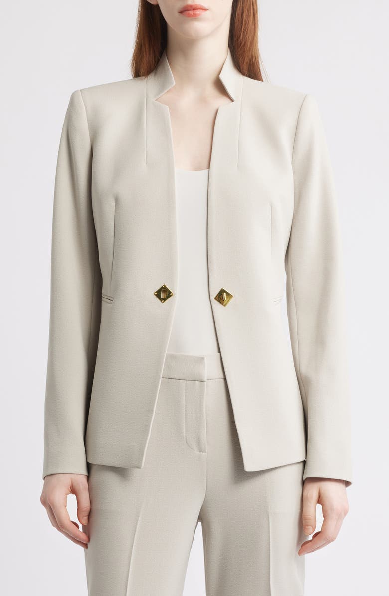 Tahari ASL Notch Neck One-Button Jacket, Alternate, color, Oatmeal