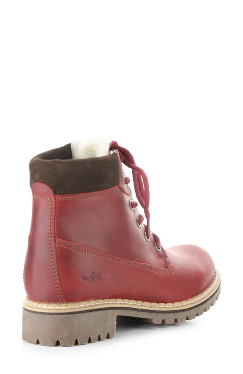 Bos. & Co. Hartt Waterproof Boot In Burgundy