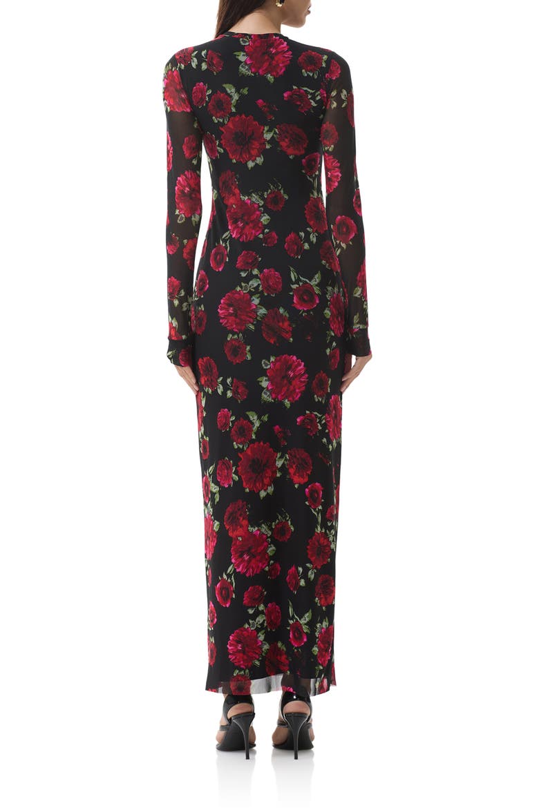 Didi Printed Long Sleeve Mesh Maxi Dress, Alternate, color, PAINTED ROSES