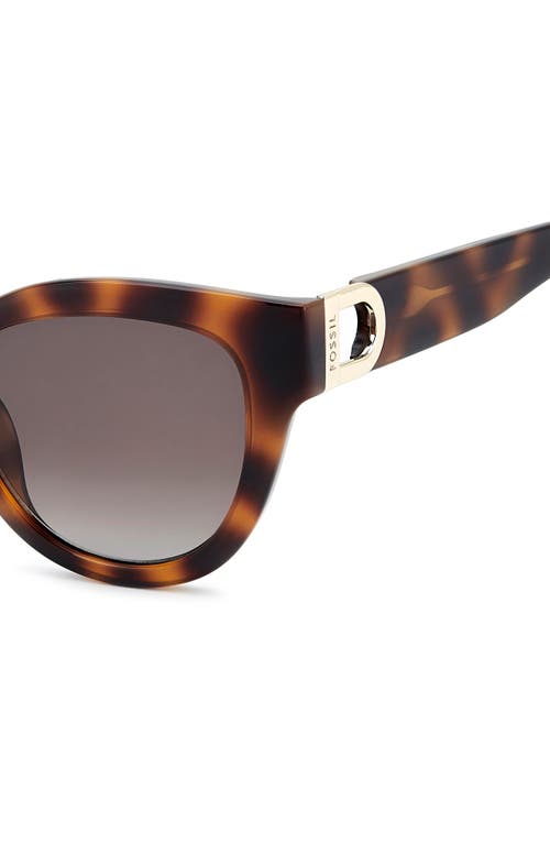 Fossil 52mm Cat Eye Sunglasses In Brown