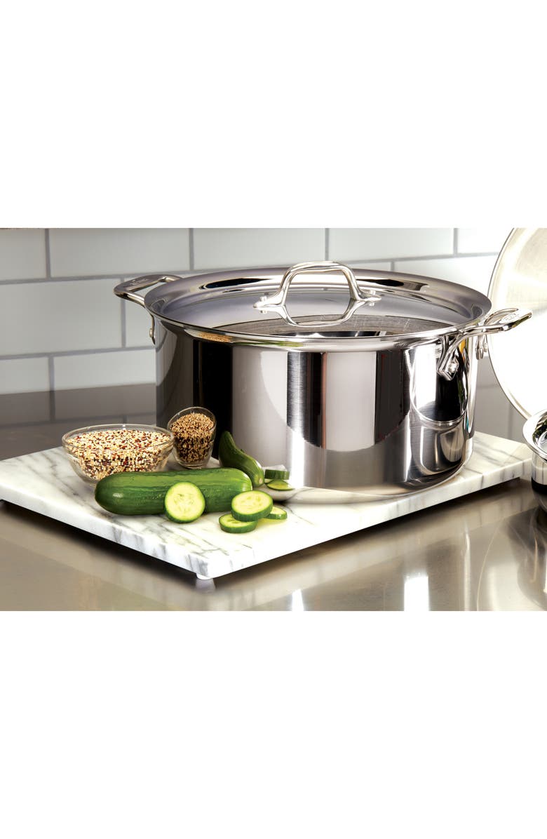 All-Clad 8-Quart Stainless Steel Stockpot, Alternate, color, Silver