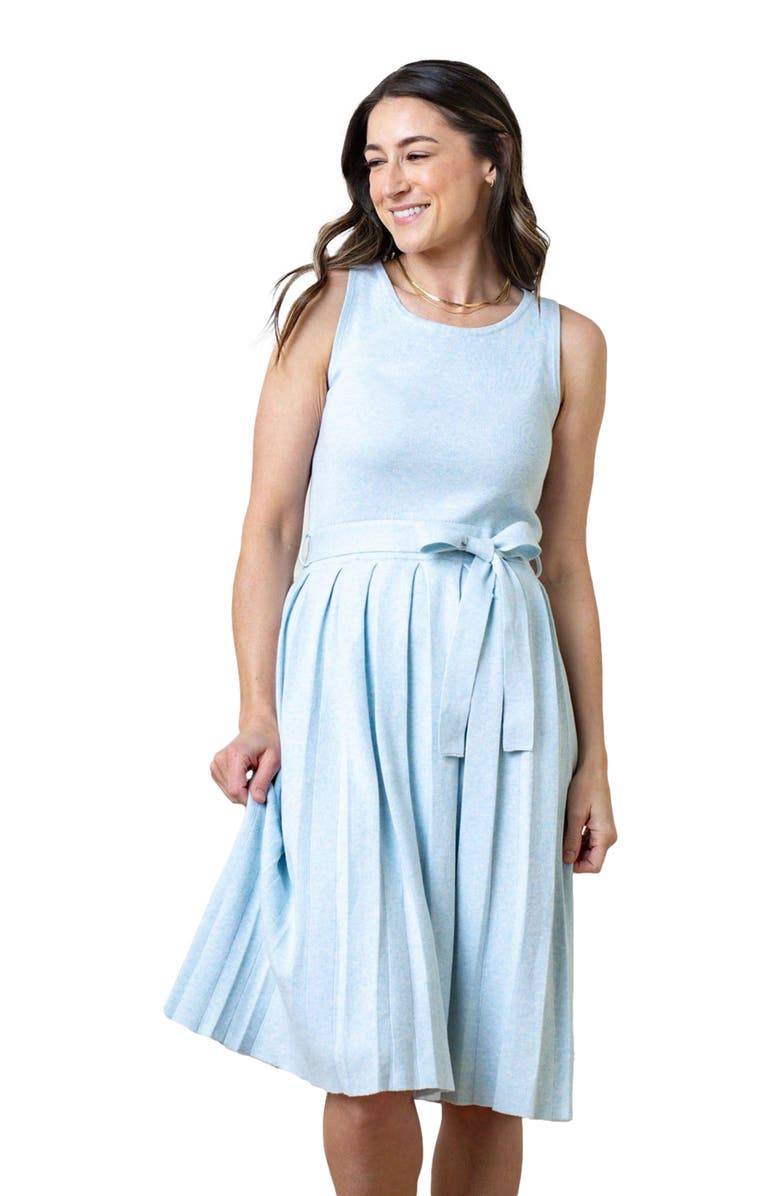 Hope & Henry Women's Organic Pleated Sweater Knit Dress, Main, color, 