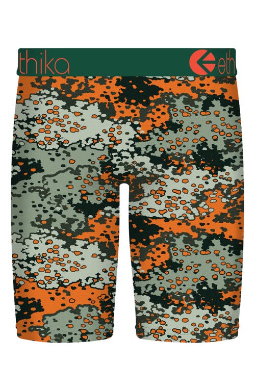 Ethika Boys Graphic Briefs In Green