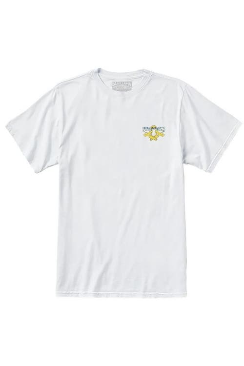 Baja Llama Peace Sloth In White
