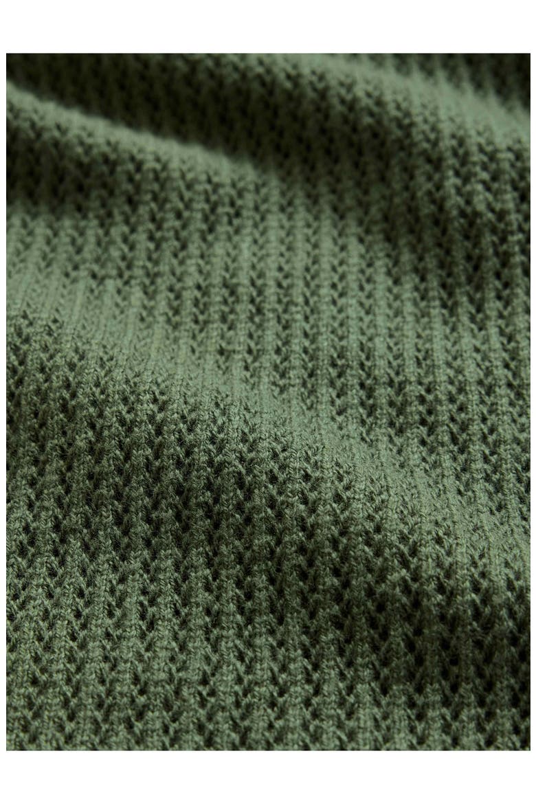 Montclair Mesh Stitch Organic Cotton Blend Sweater, Alternate, color, LIGHT OLIVE