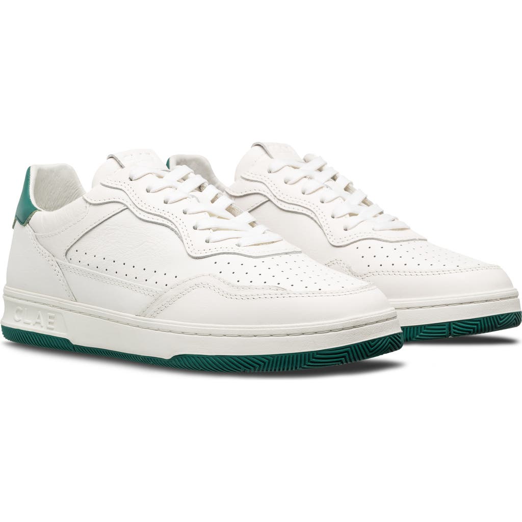Clae Haywood Low Top Sneaker In White Leather Galapagos