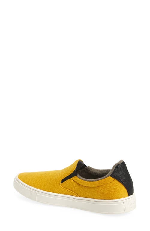 Yy Nation Nimbo Wool Blend Loafer In Multi