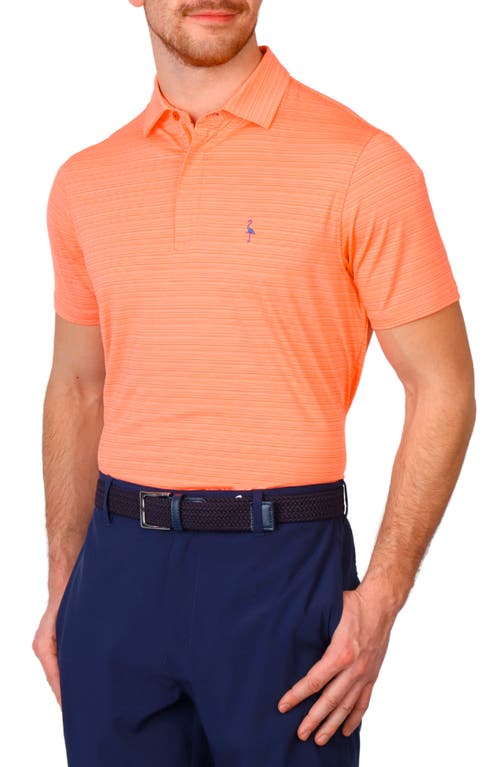 TAILORBYRD TAILORBYRD VARIEGATED STRIPE PERFORMANCE POLO