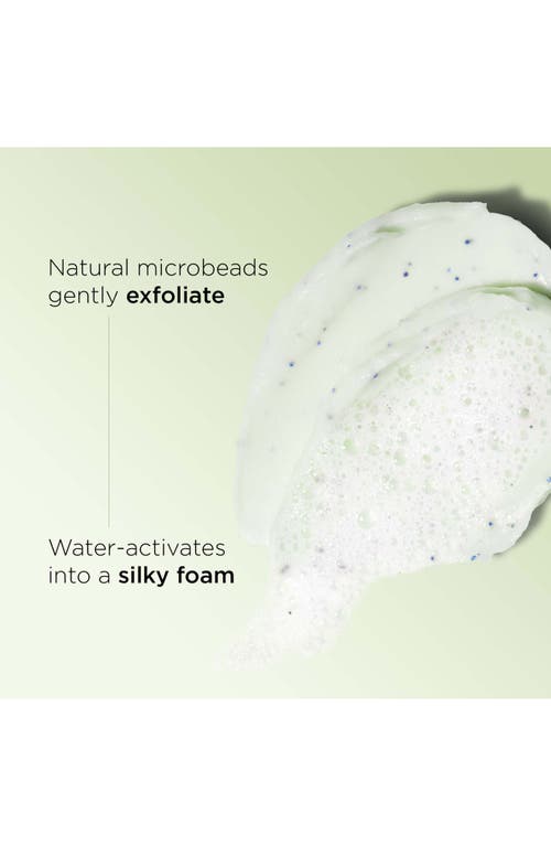 Clarins Purifying Gentle Foaming Face Cleanser In Transparent