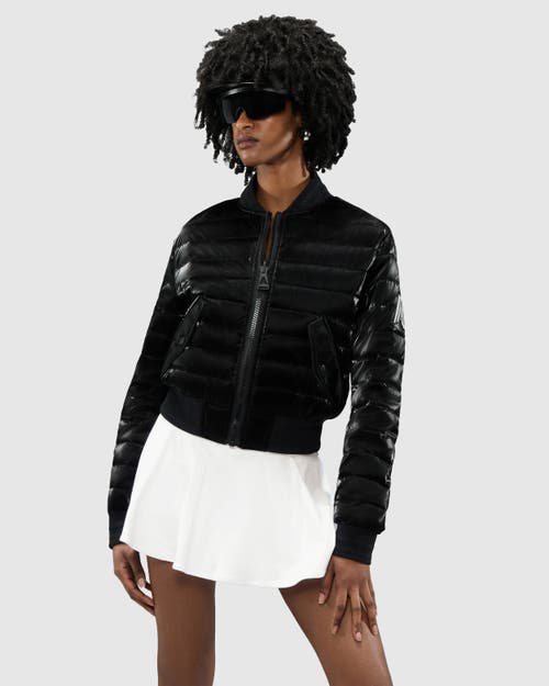 Shop Alpenhaus Cluza Reversable Quilted Bomber Jacket In Black