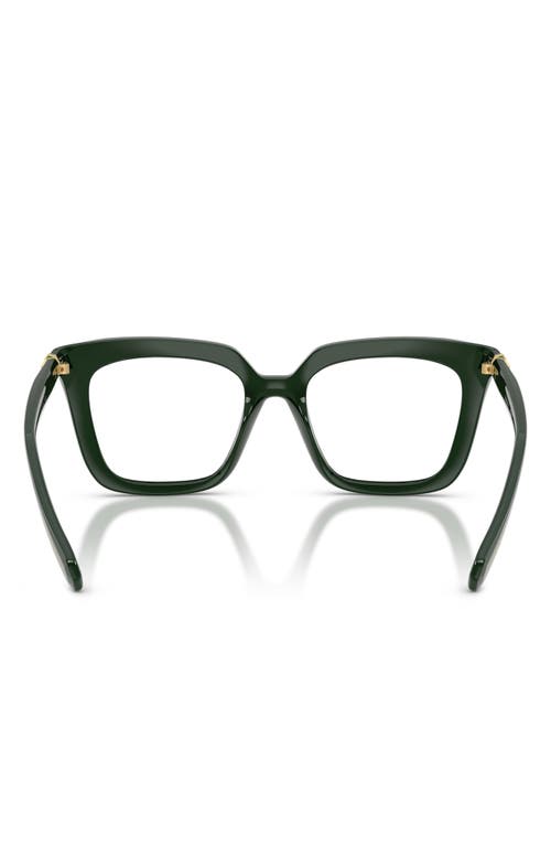 Swarovski 51mm Square Optical Glasses In Green