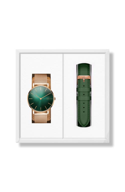 Solios Watches The Rainforest Classic Bundle | Green Dial