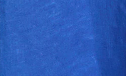 Elan Long Sleeve Linen Maxi Shirtdress In Blue