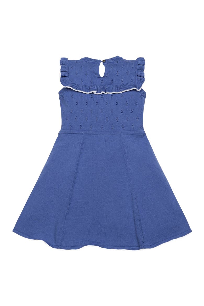Baby Girls' Organic Ruffle Yoke Sweater Dress, Infant, Alternate, color, Medium Blue