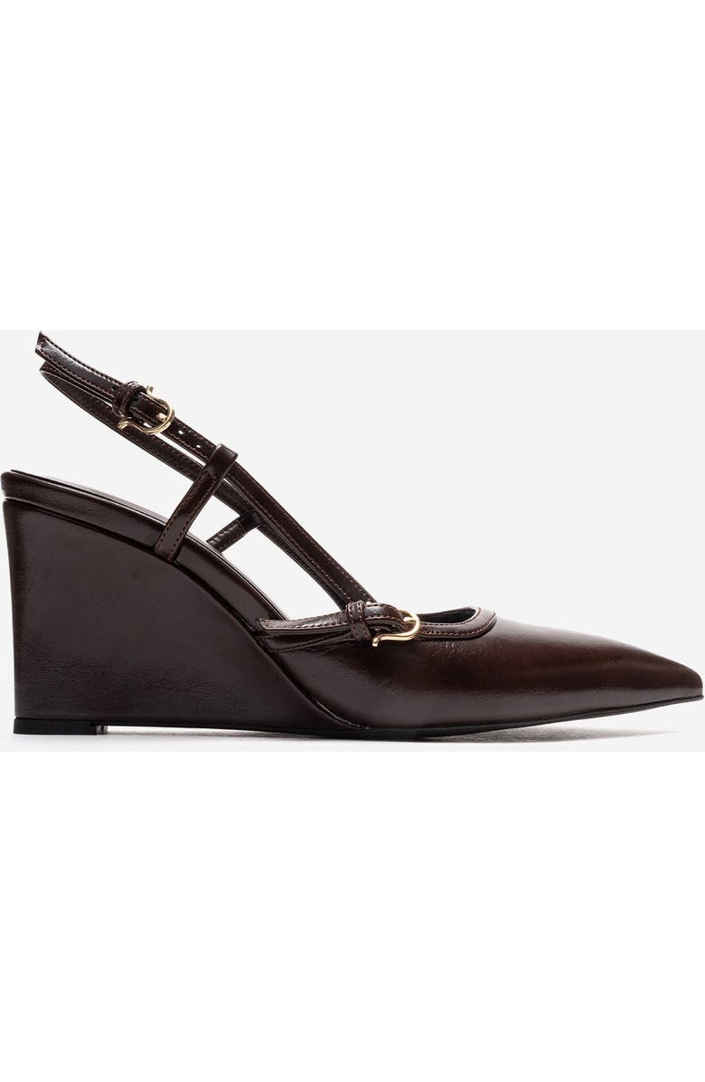 Prologue Shoes Celia Pointed Toe Wedge Pump, Alternate, color, Brown