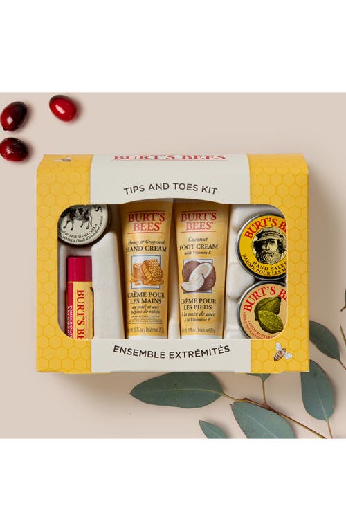 Burt's Bees Tips & Toes Kit In Transparent
