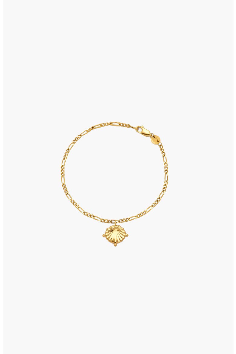 Conchigla Figaro Bracelet In Gold, Main, color, Gold