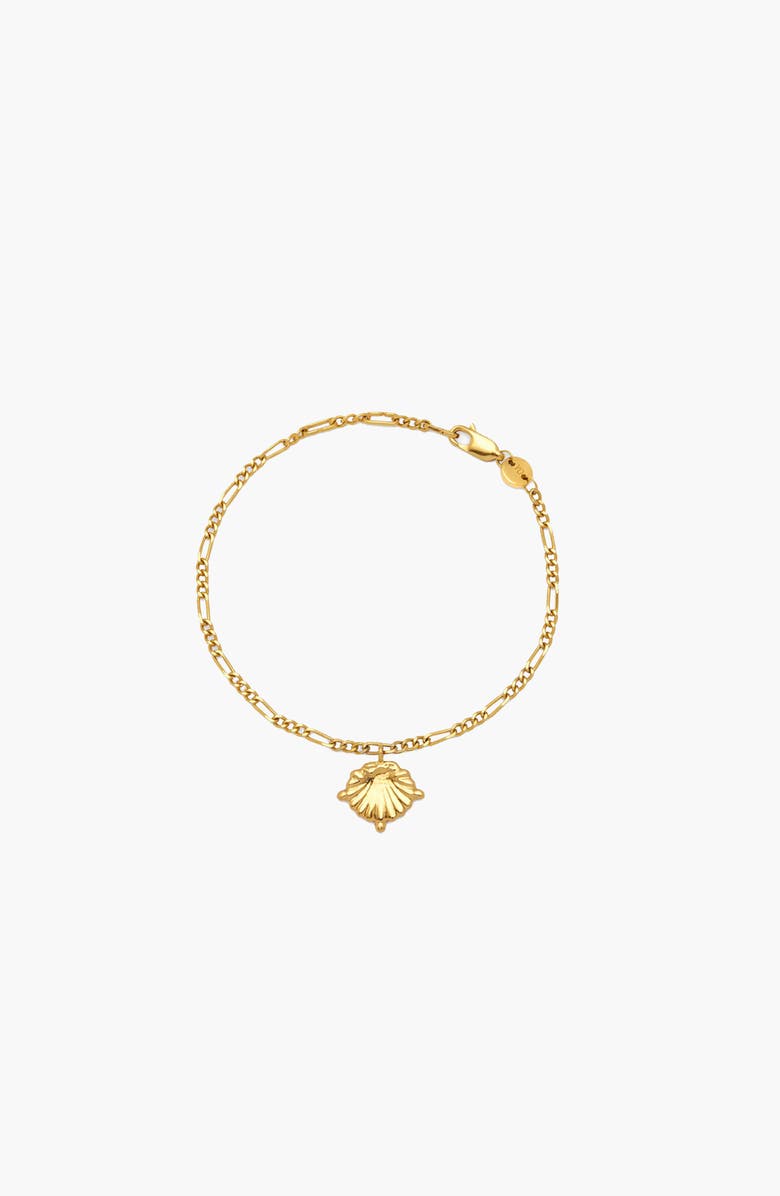 YOJ Conchigla Figaro Bracelet In Gold, Main, color, Gold