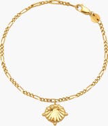 YOJ Conchigla Figaro Bracelet In Gold