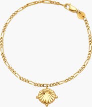 YOJ Conchigla Figaro Bracelet In Gold