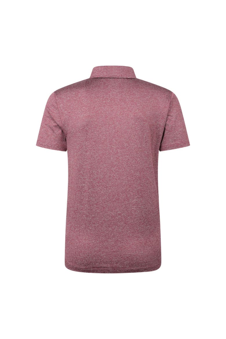 Agra Stripe Polo Shirt, Alternate, color, Burgundy