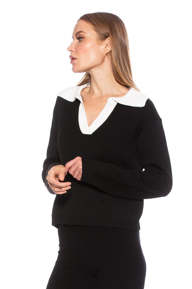 Evander Retro Collared Sweater, Alternate, color, BLACK