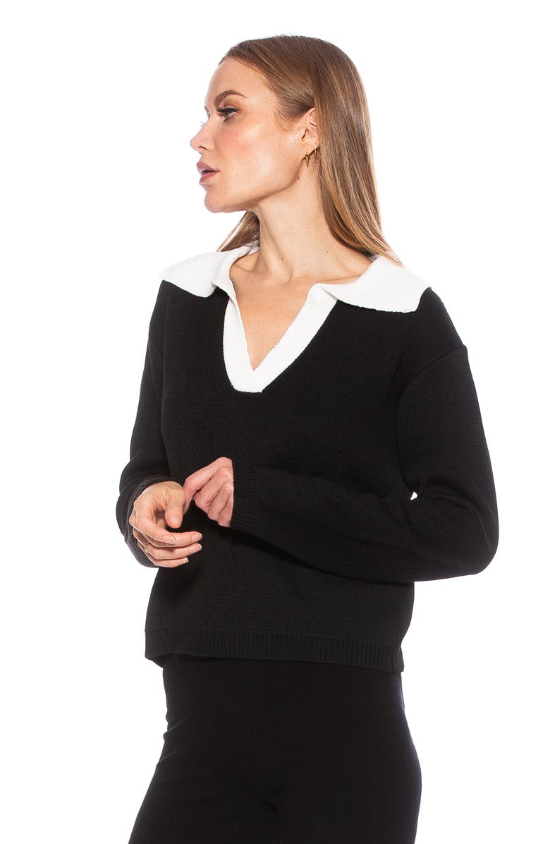 Alexia Admor Evander Retro Collared Sweater, Alternate, color, Black