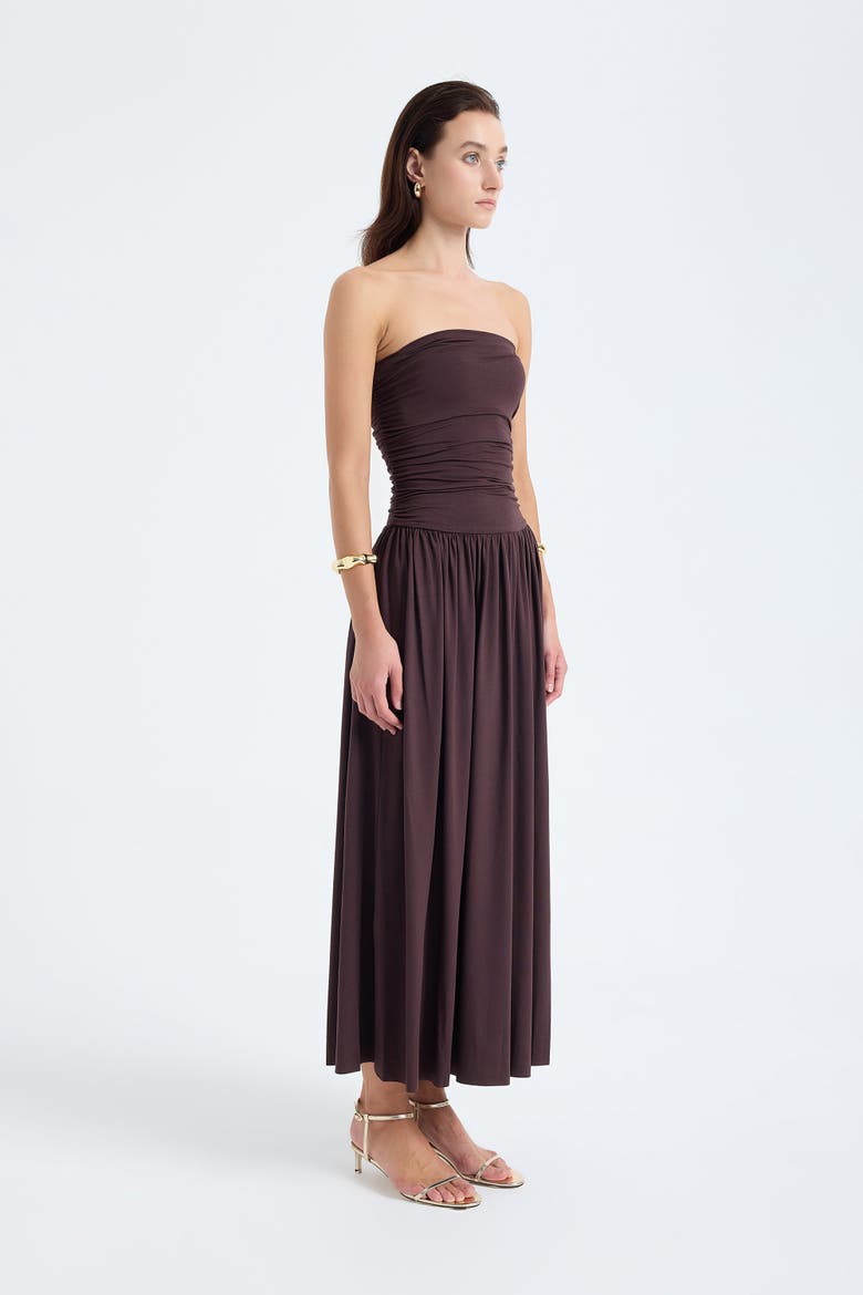 Aluna Strapless Maxi Dress, Alternate, color, Brown