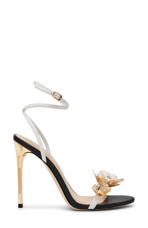 Steve Madden Sheila Ankle Strap Sandal In Black Multi