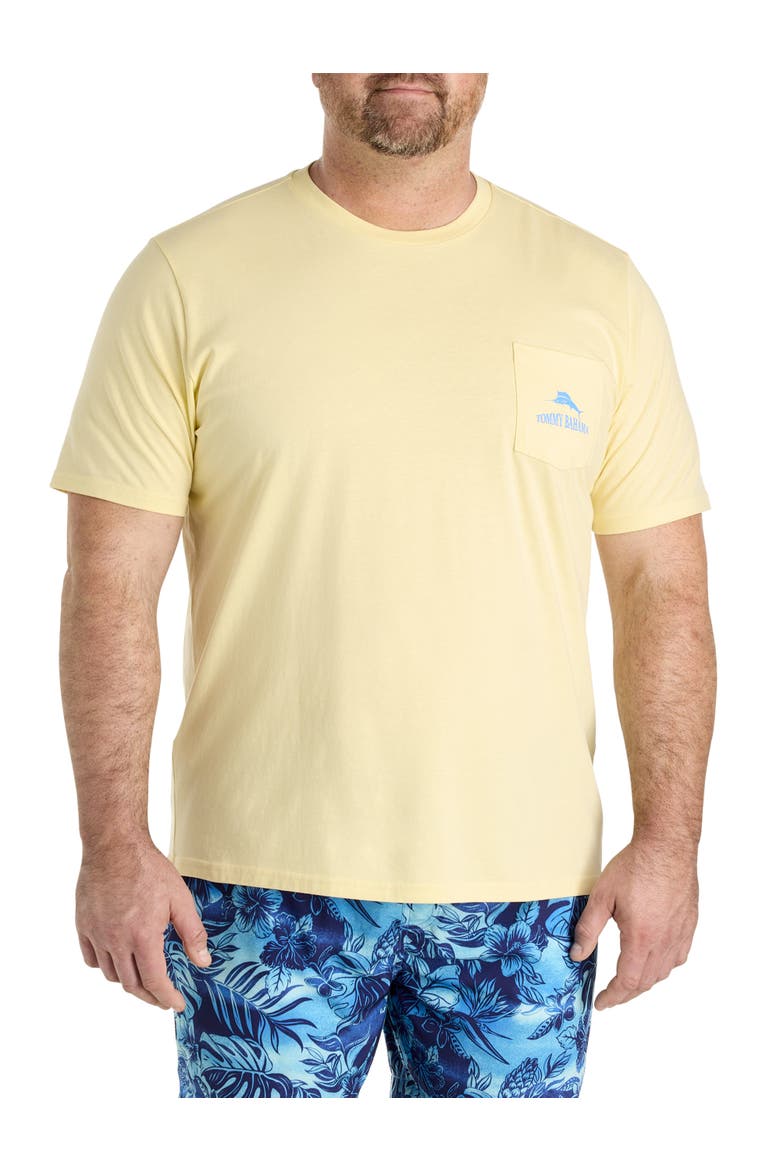 Big & Tall Nice Serve Pocket T-Shirt, Alternate, color, LIGHT