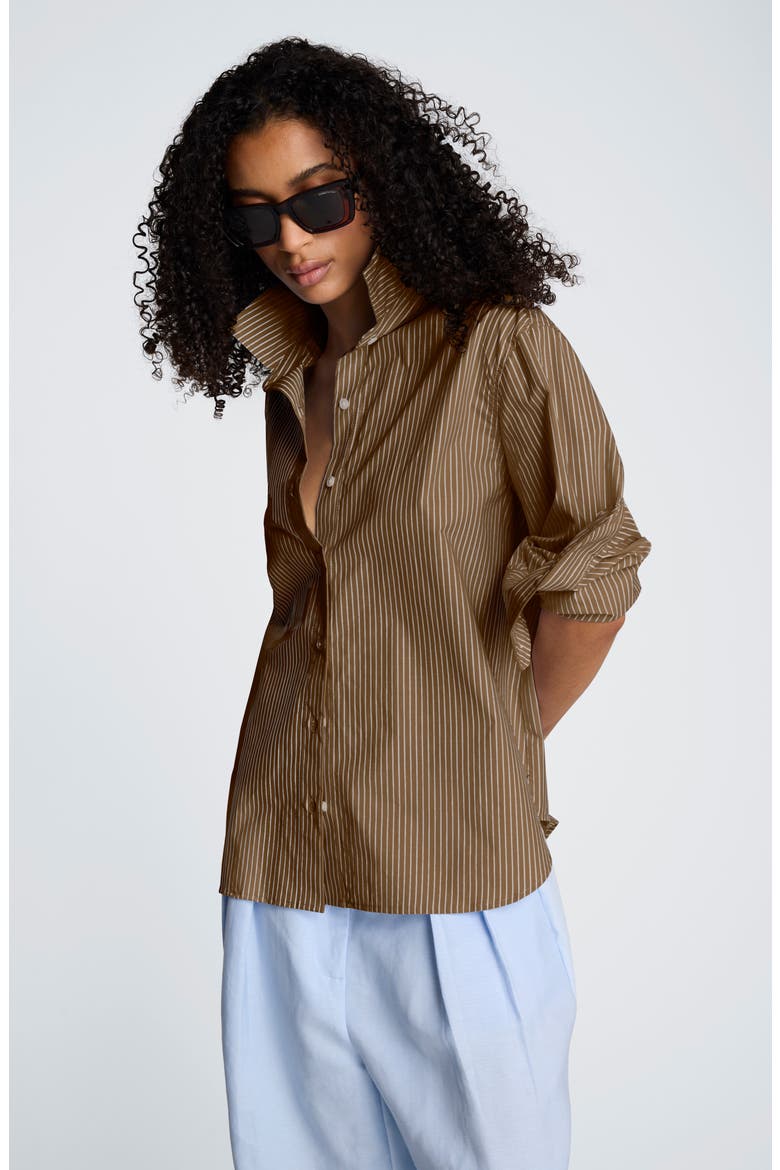 Pinstripe Button-Up Boyfriend Shirt, Alternate, color, MESQUITE MULTI