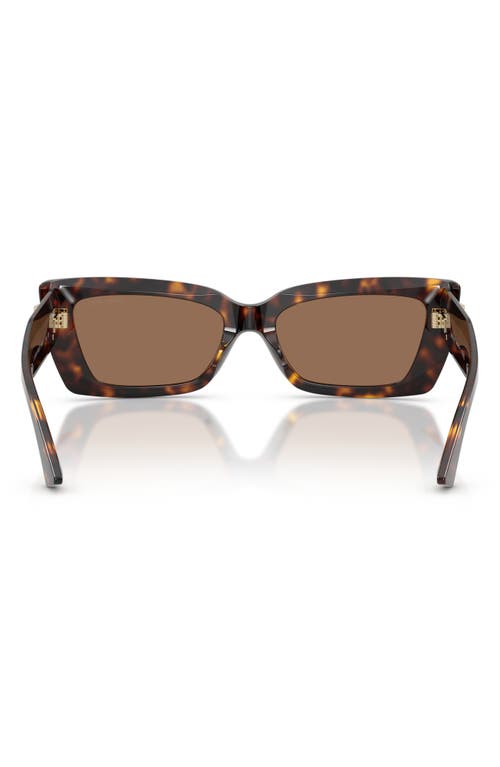 Jimmy Choo Havana Cat Eye Sunglasses In Brown