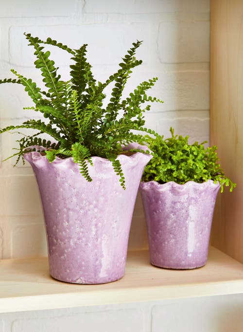 Tag Large Lavender Ruffle Rim Terracotta Planter For Gardens In Purple