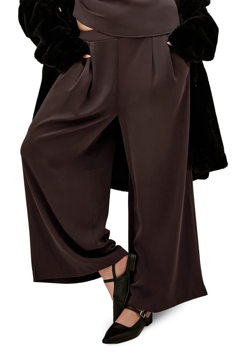 Jett Pleated Wide Leg Pants, Main, color, ESPRESSO