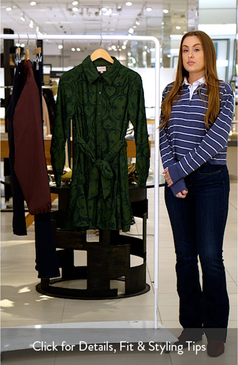 Serane Eyelet Embroidery Long Sleeve Minidress, sales video thumbnail