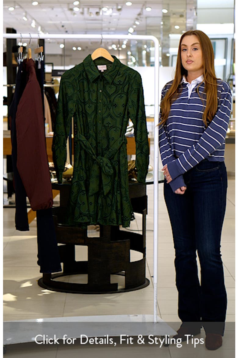 Serane Eyelet Embroidery Long Sleeve Minidress video