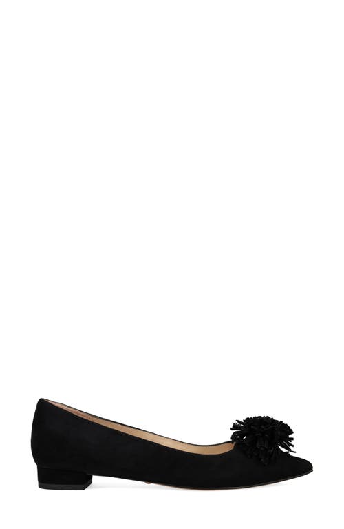 Pelle Moda Aaila Pointed Toe Flat