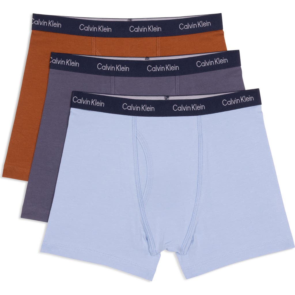 Calvin Klein Kids' Assorted 3-pack Stretch Cotton Boxer Briefs In Multi