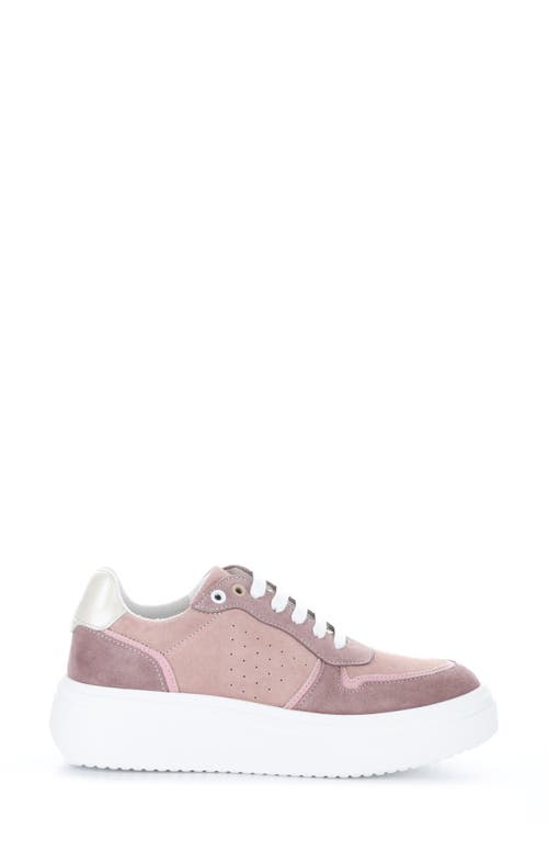 Bos. & Co. Fulton Colorblock Platform Sneaker In Old Rose Suede