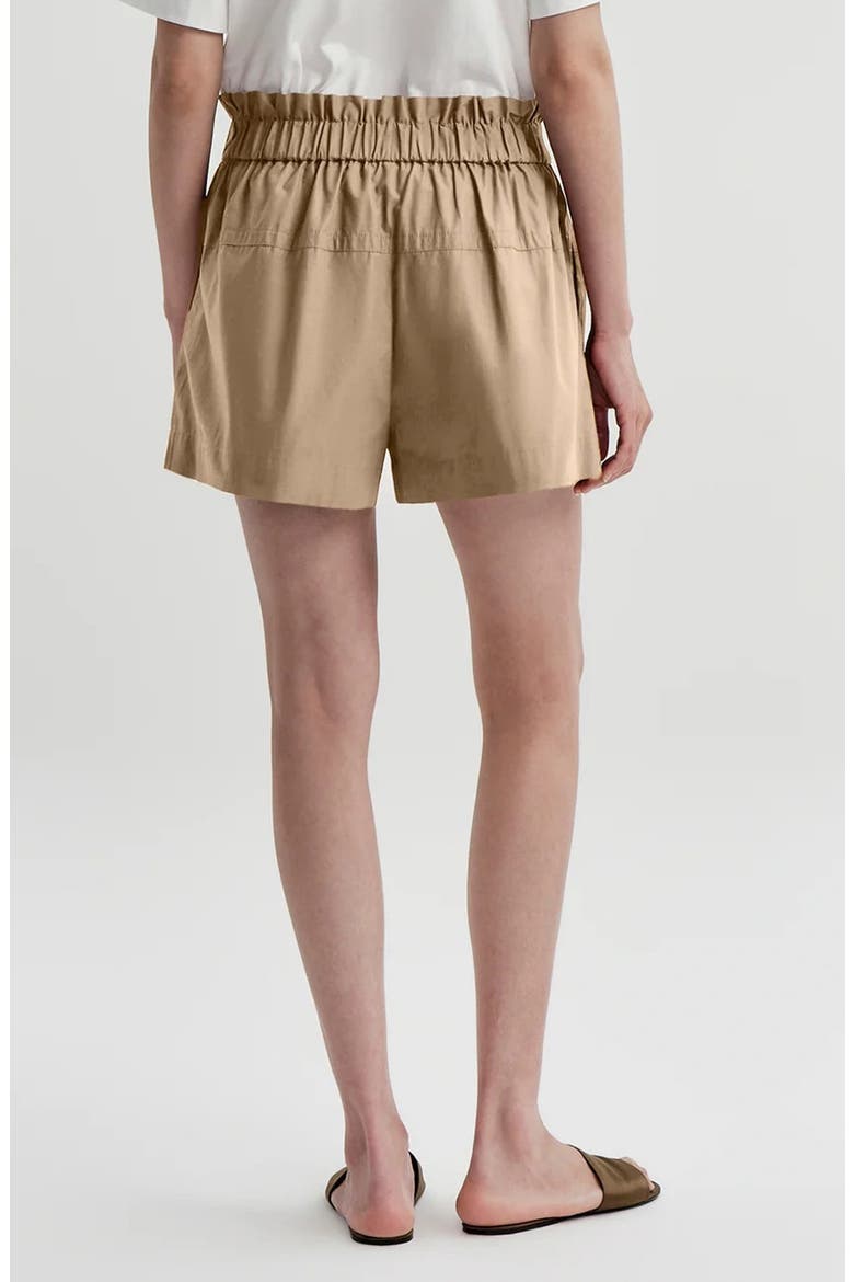 Nate Paperbag Waist Cotton Shorts, Alternate, color, DESERT BEIGE