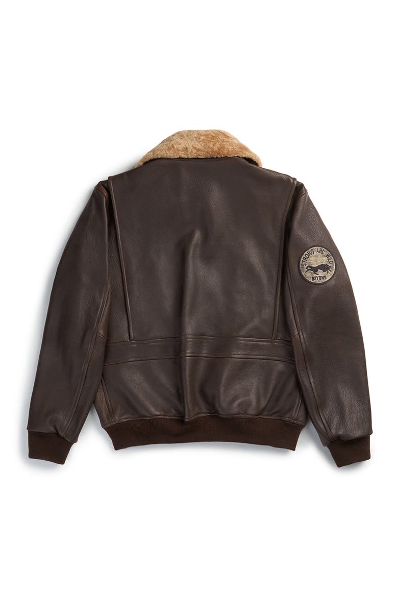 DENALI FLIGHT LEATHER JACKET, Alternate, color, Brown