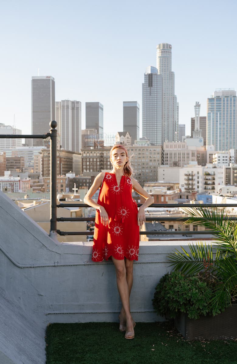 CIEBON Kailani Embroidered Sleeveless A-Line Dress, Alternate, color, 