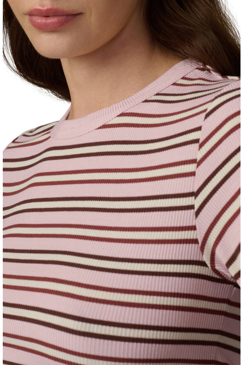 The Stripe Rib Baby T-Shirt, Alternate, color, BLUSH/ ECRU STRIPE