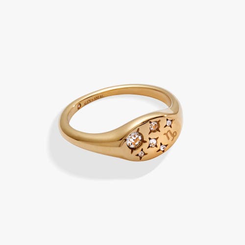 Alex And Ani Zodiac Ring In Gold Capricorn