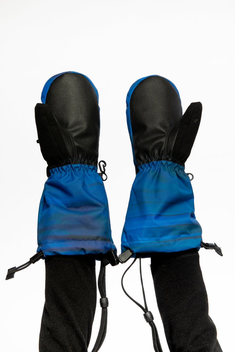 Stripes Teknik Waterproof Cordura Reinforced Winter Mittens, Alternate, color, Blue with Black Stripes