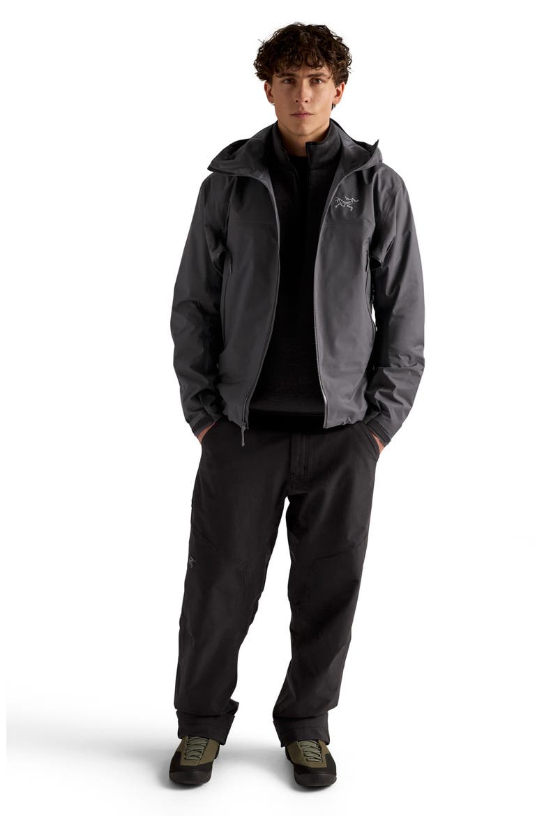 Beta SL GORE-TEX Hooded Jacket, Alternate, color, CLOUD